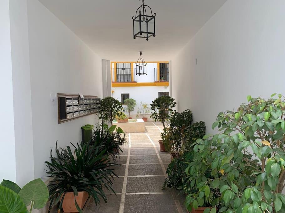 apartamento con parking plaza del museo Siviglia Esterno foto